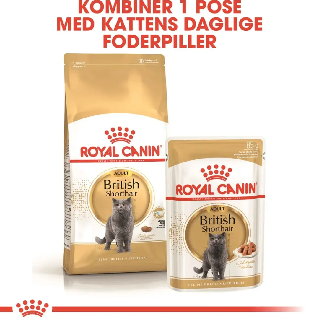 Royal Canin Kattefoder Royal Canin British shorthair 10 kg