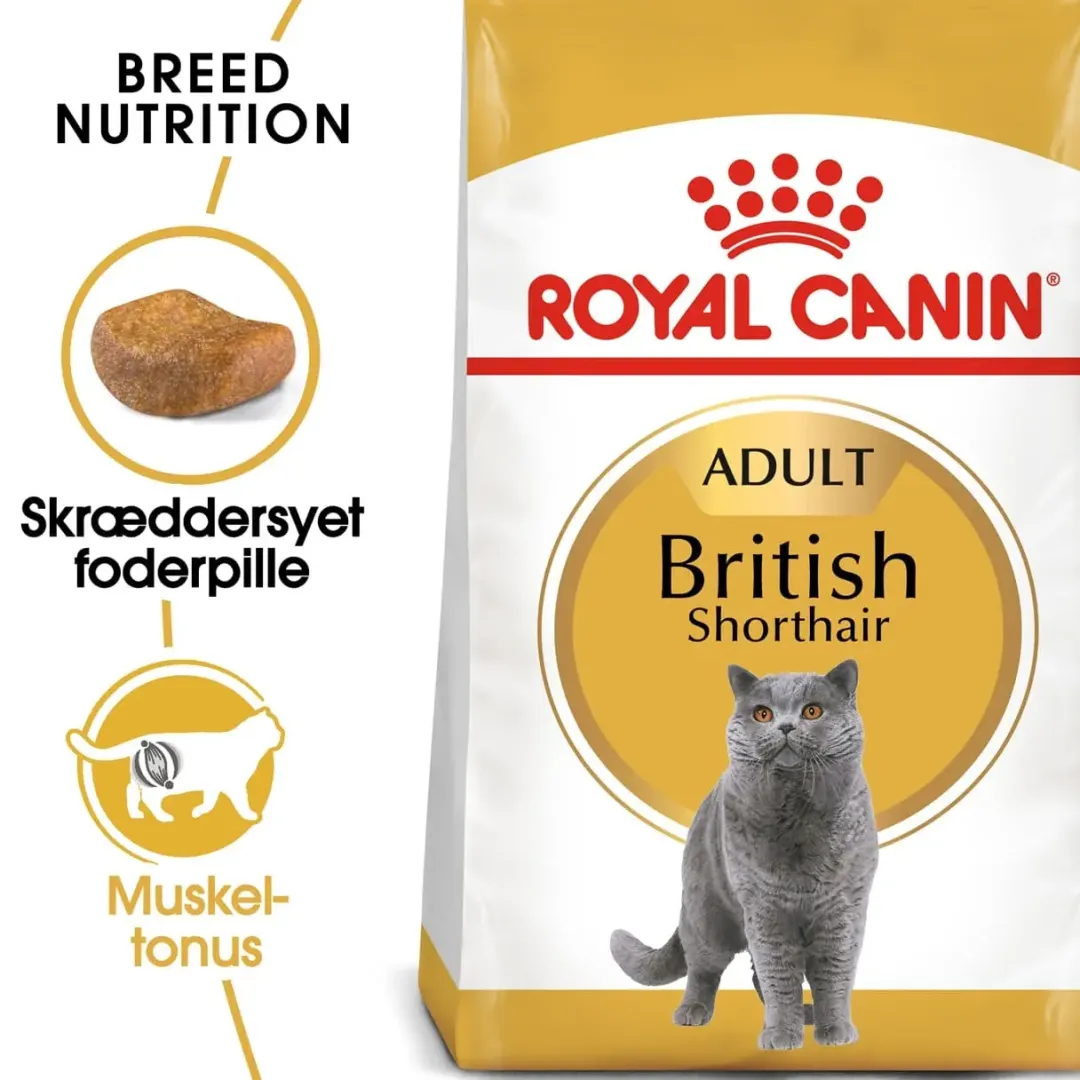 Royal Canin Kattefoder Royal Canin British shorthair 10 kg