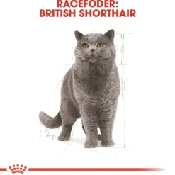 Royal Canin Kattefoder Royal Canin British shorthair 400 gram