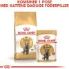 Royal Canin Kattefoder Royal Canin British shorthair Sovs - vådfoder 85 g