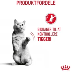 Royal Canin Kattefoder Royal Canin Care Appetite Control 2 kg