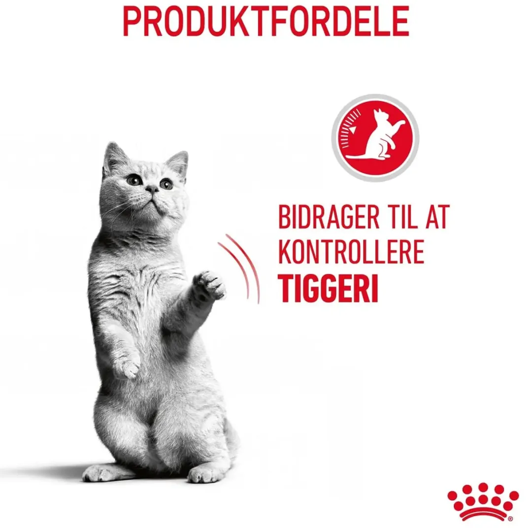 Royal Canin Kattefoder Royal Canin Care Appetite Control 400 gram