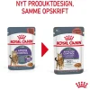 Royal Canin Kattefoder Royal Canin Care Appetite Control Gravy vådfoder 85 g