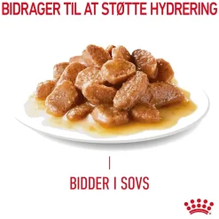 Royal Canin Kattefoder Royal Canin Care Appetite Control Gravy vådfoder 85 g