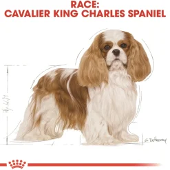 Royal Canin Hundefoder Royal Canin Cavalier King Charles Adult 1,5 kg - tørfoder til små hunde