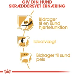 Royal Canin Hundefoder Royal Canin Cavalier King Charles Adult 7,5 kg - tørfoder til voksne hunde