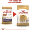 Royal Canin Hundefoder Royal Canin Chihuahua Adult 3 kg - tørfoder til små hunde
