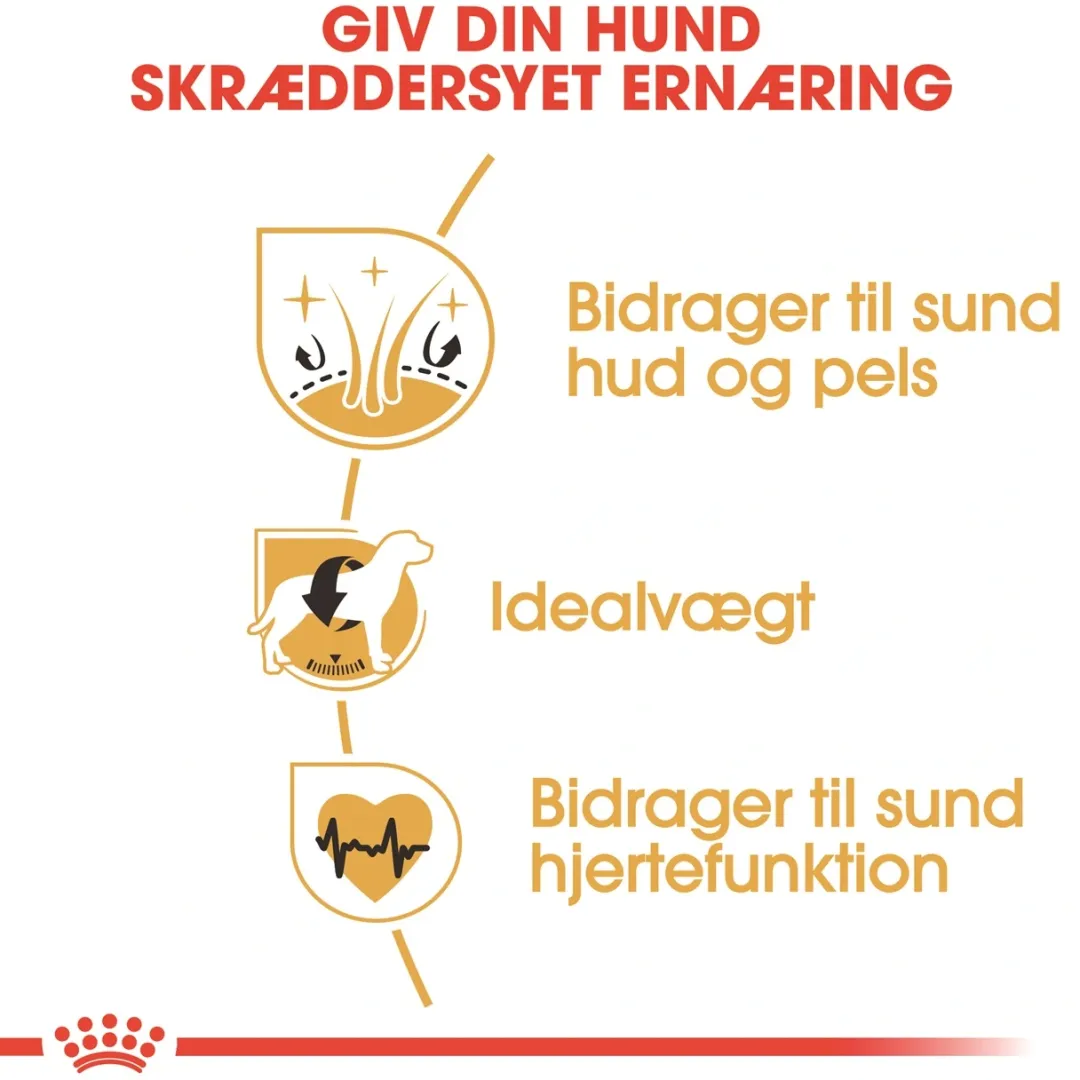 Royal Canin Hundefoder Royal Canin Cocker Spaniel Adult 12 kg - tørfoder til voksne hunde