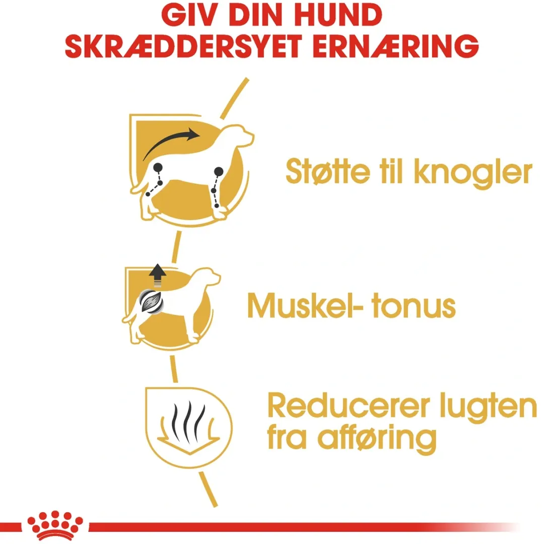 Royal Canin Hundefoder Royal Canin Dachshund Adult 7,5 kg - tørfoder til gravhunde