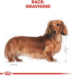 Royal Canin Hundefoder Royal Canin Dachshund Adult 7,5 kg - tørfoder til gravhunde