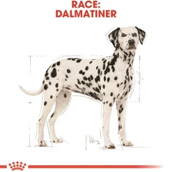 Royal Canin Hundefoder Royal Canin Dalmatian Adult 12 kg - tørfoder til voksne hunde
