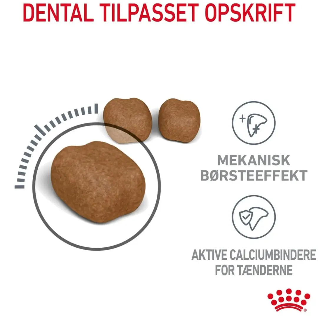 Royal Canin Kattefoder Royal Canin Dental Care 400 gram