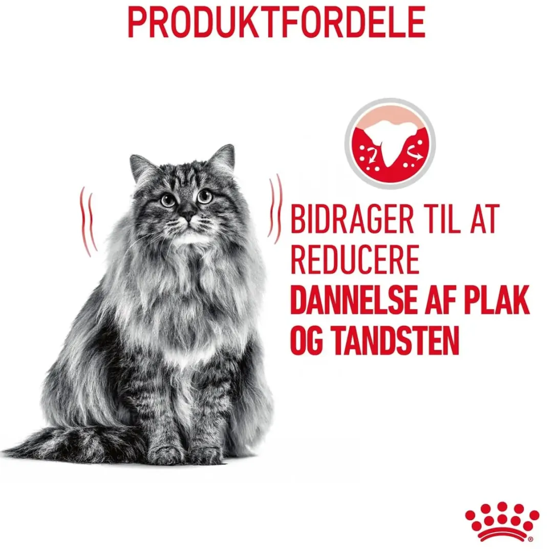 Royal Canin Kattefoder Royal Canin Dental Care 1,5 kg
