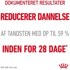 Royal Canin Kattefoder Royal Canin Dental Care 8 kg