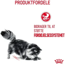 Royal Canin Kattefoder Royal Canin Digestive Care 4 kg