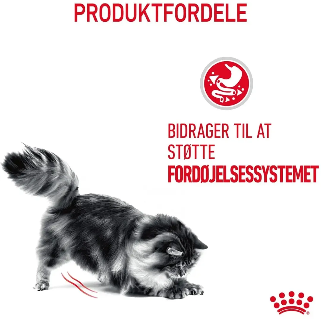 Royal Canin Kattefoder Royal Canin Digestive Care 10 kg