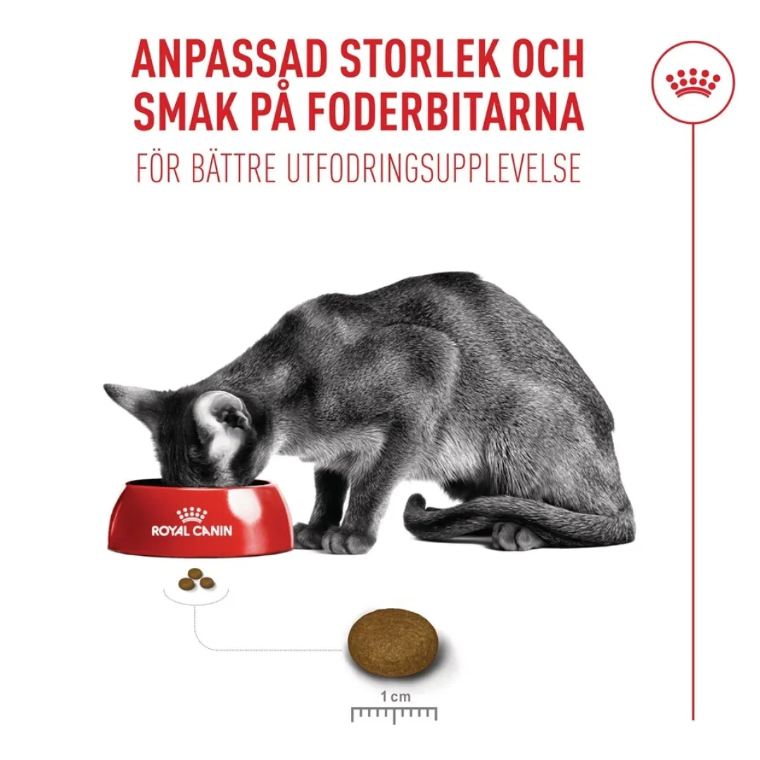 Royal Canin Kattefoder Royal Canin Exigent FHN Fussy 4 kg