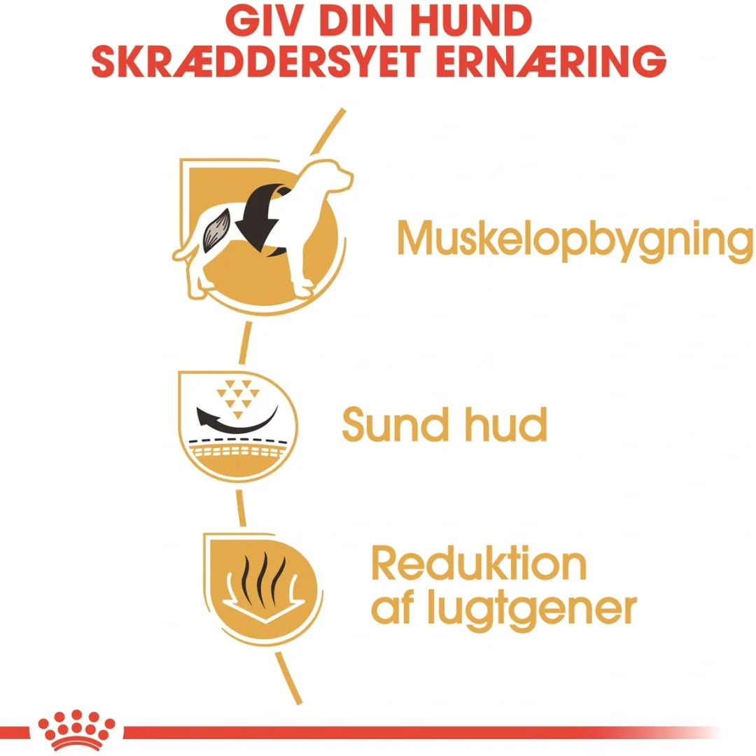 Royal Canin Hundefoder Royal Canin French Bulldog Adult 3 kg - tørfoder til voksne hunde