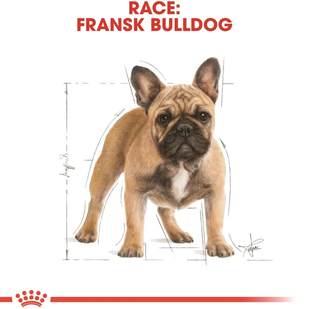 Royal Canin Hundefoder Royal Canin French Bulldog Adult 3 kg - tørfoder til voksne hunde