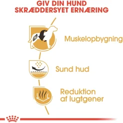 Royal Canin Hundefoder Royal Canin French Bulldog Adult 9 kg - tørfoder til voksne hunde