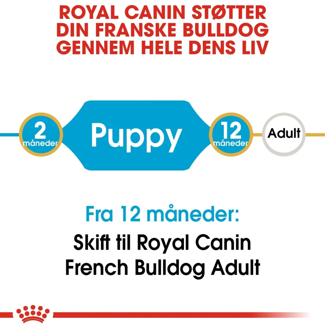 Royal Canin Hundefoder Royal Canin French Bulldog Puppy 3 kg - fuldfoder til hvalpe