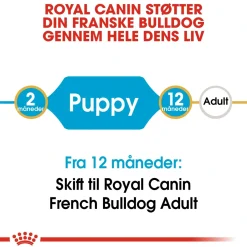 Royal Canin Hundefoder Royal Canin French Bulldog Puppy 10 kg - tørfoder til hvalpe