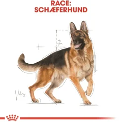 Royal Canin Hundefoder Royal Canin German Shepherd Adult 11 kg - tørfoder til voksne hunde