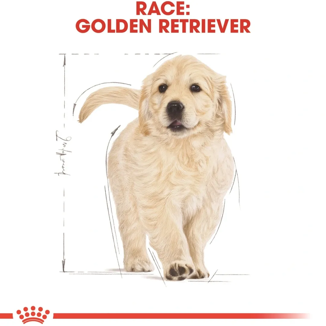 Royal Canin Hundefoder Royal Canin Golden Retriever Puppy 12 kg - tørfoder til hvalpe