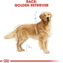 Royal Canin Hundefoder Royal Canin Golden Retriever Adult 12 kg - tørfoder til voksne hunde