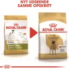 Royal Canin Hundefoder Royal Canin Great Dane Adult 12 kg - tørfoder til voksne hunde