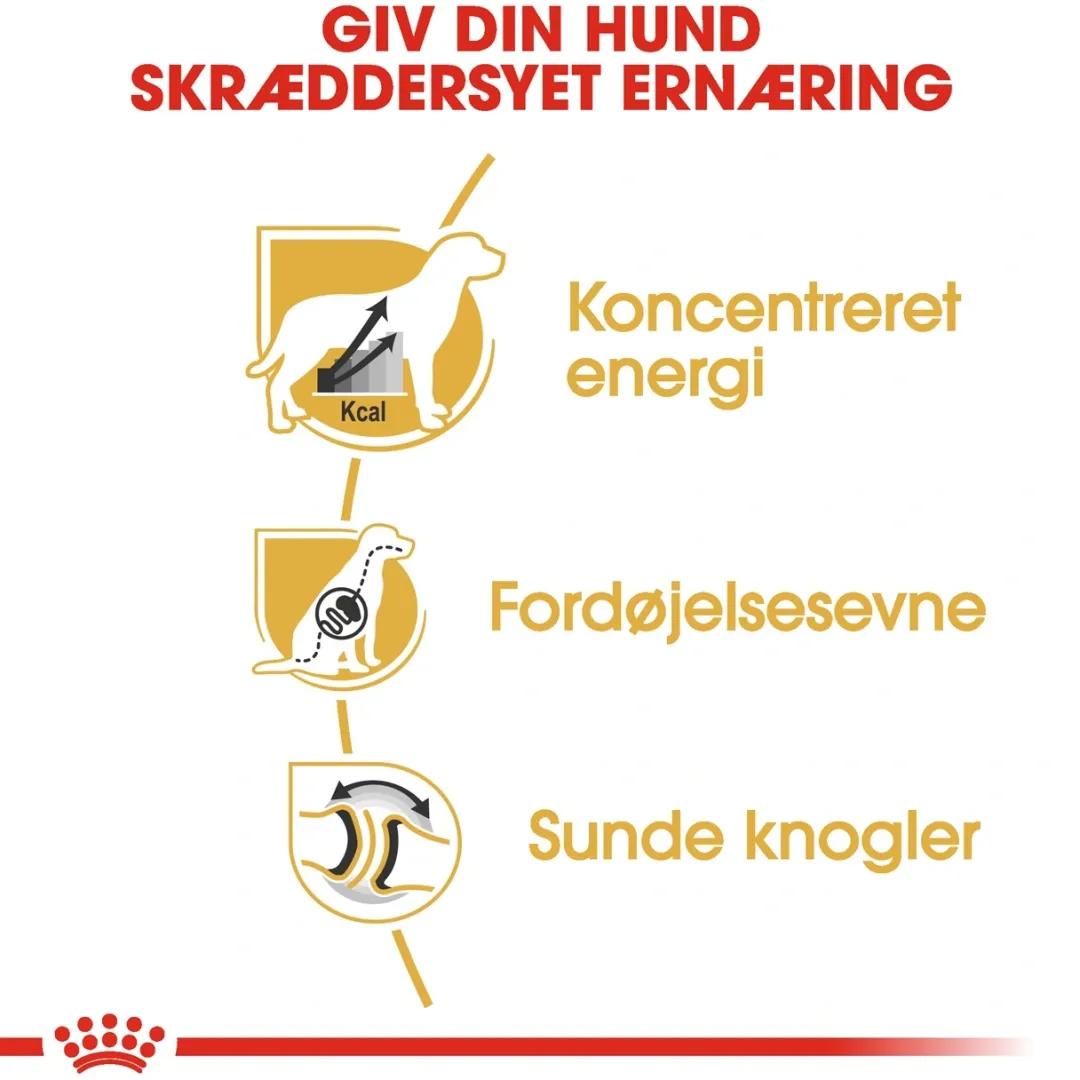 Royal Canin Hundefoder Royal Canin Great Dane Adult 12 kg - tørfoder til voksne hunde