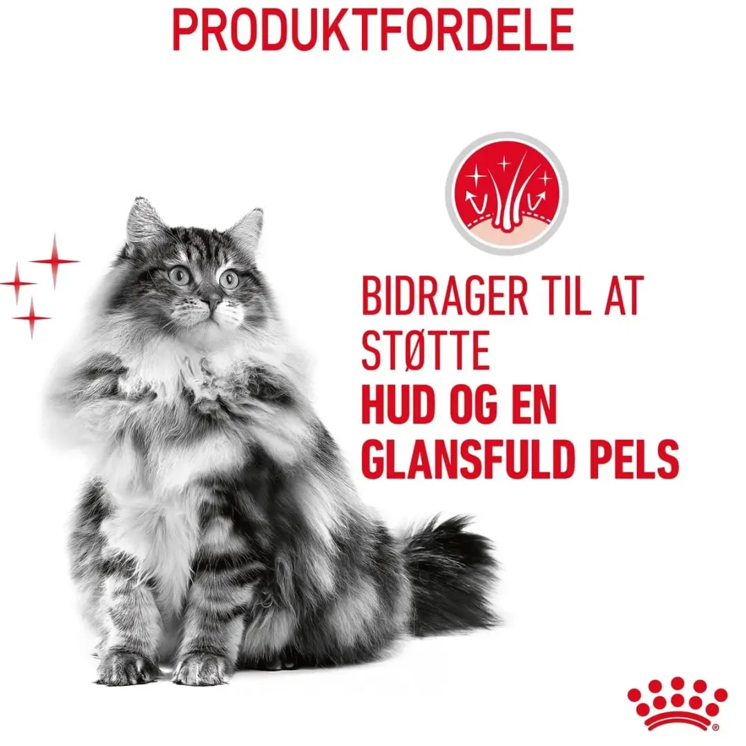 Royal Canin Kattefoder Royal Canin Hair and Skin 2 kg