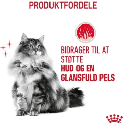 Royal Canin Kattefoder Royal Canin Hair and Skin 4 kg