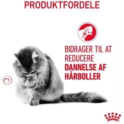 Royal Canin Kattefoder Royal Canin Hairball Care 4 kg