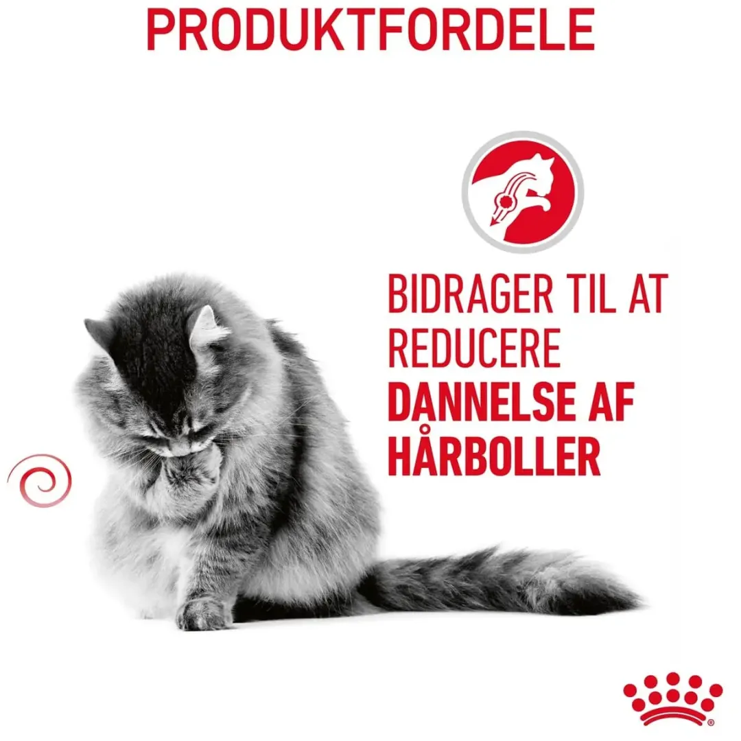Royal Canin Kattefoder Royal Canin Hairball Care 10 kg