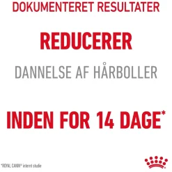 Royal Canin Kattefoder Royal Canin Hairball Care 10 kg