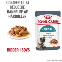 Royal Canin Kattefoder Royal Canin Hairball Care Sovs - vådfoder 85 g