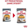 Royal Canin Kattefoder Royal Canin Hair & Skin Sovs - vådfoder 85 g
