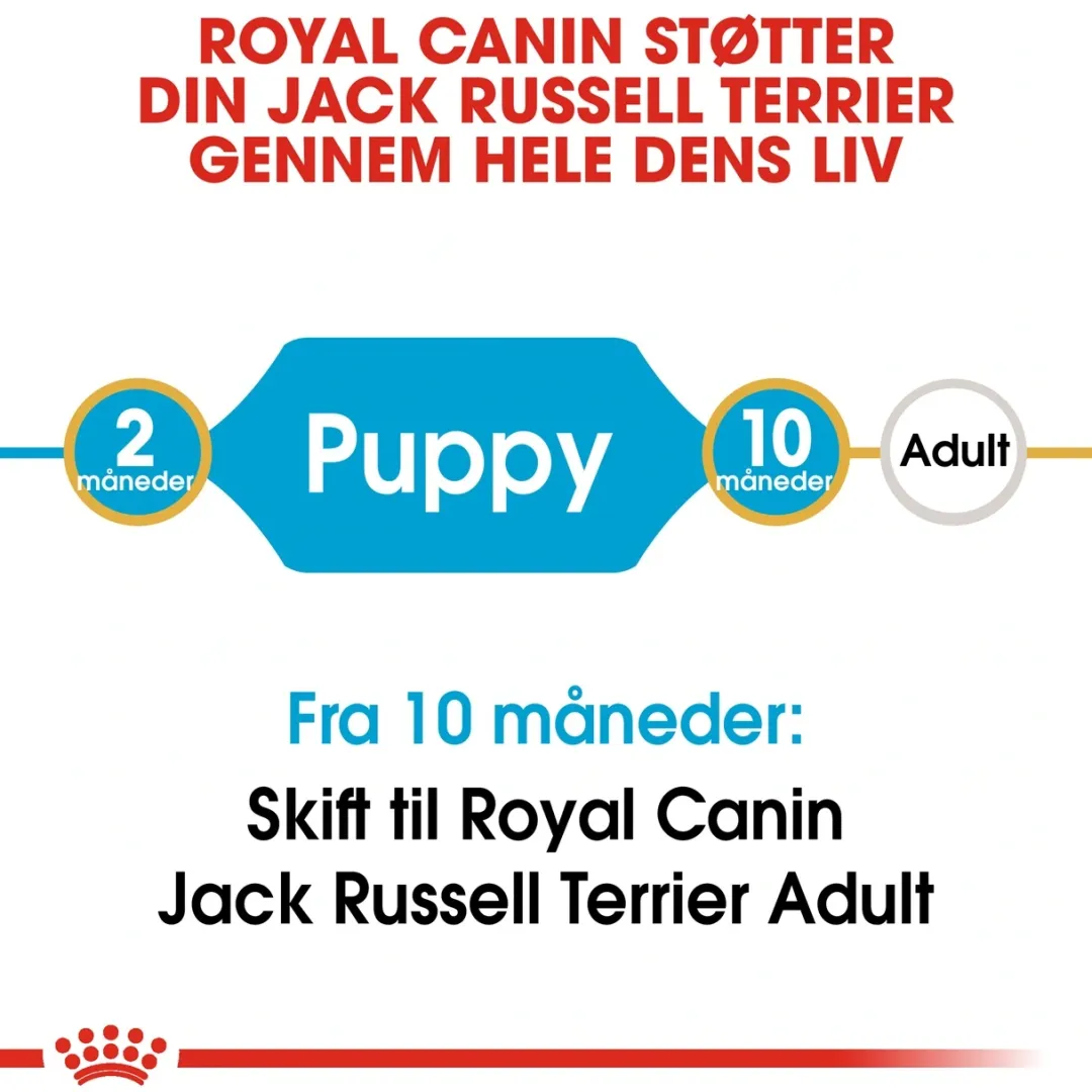 Royal Canin Hundefoder Royal Canin Jack Russell Puppy 1,5 kg - hvalpefoder til energi og vækst
