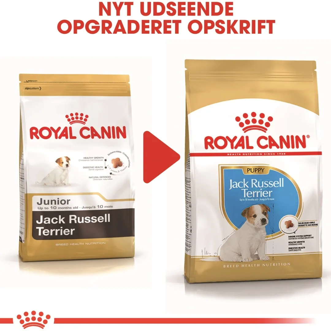 Royal Canin Hundefoder Royal Canin Jack Russell Puppy 1,5 kg - hvalpefoder til energi og vækst
