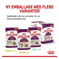 Royal Canin Kattefoder Royal Canin Kattevådmad Sensory Smell Sovs Adult