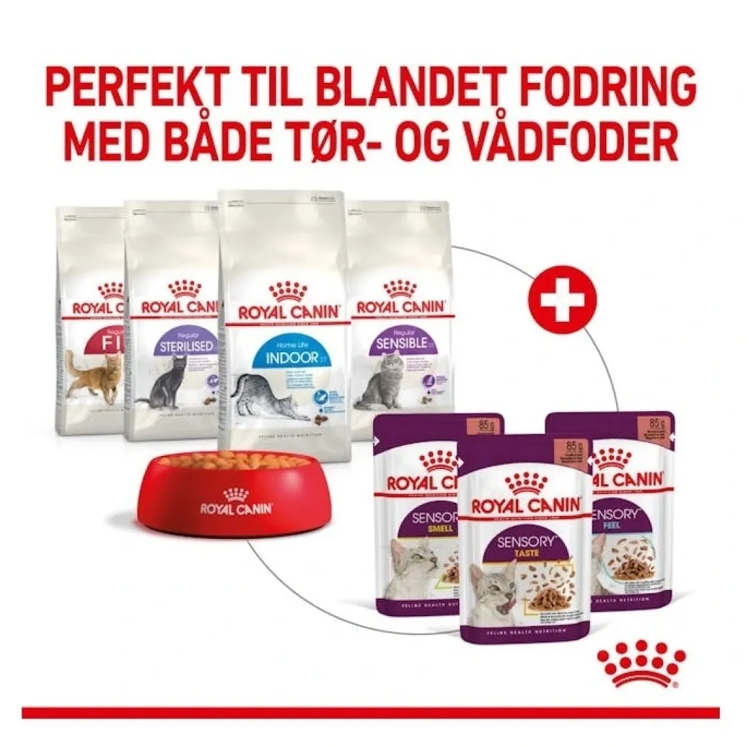 Royal Canin Kattefoder Royal Canin Kattevådmad Sensory Taste Sovs Adult