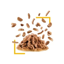 Royal Canin Kattefoder Royal Canin Kattevådmad Sensory Taste Sovs Adult