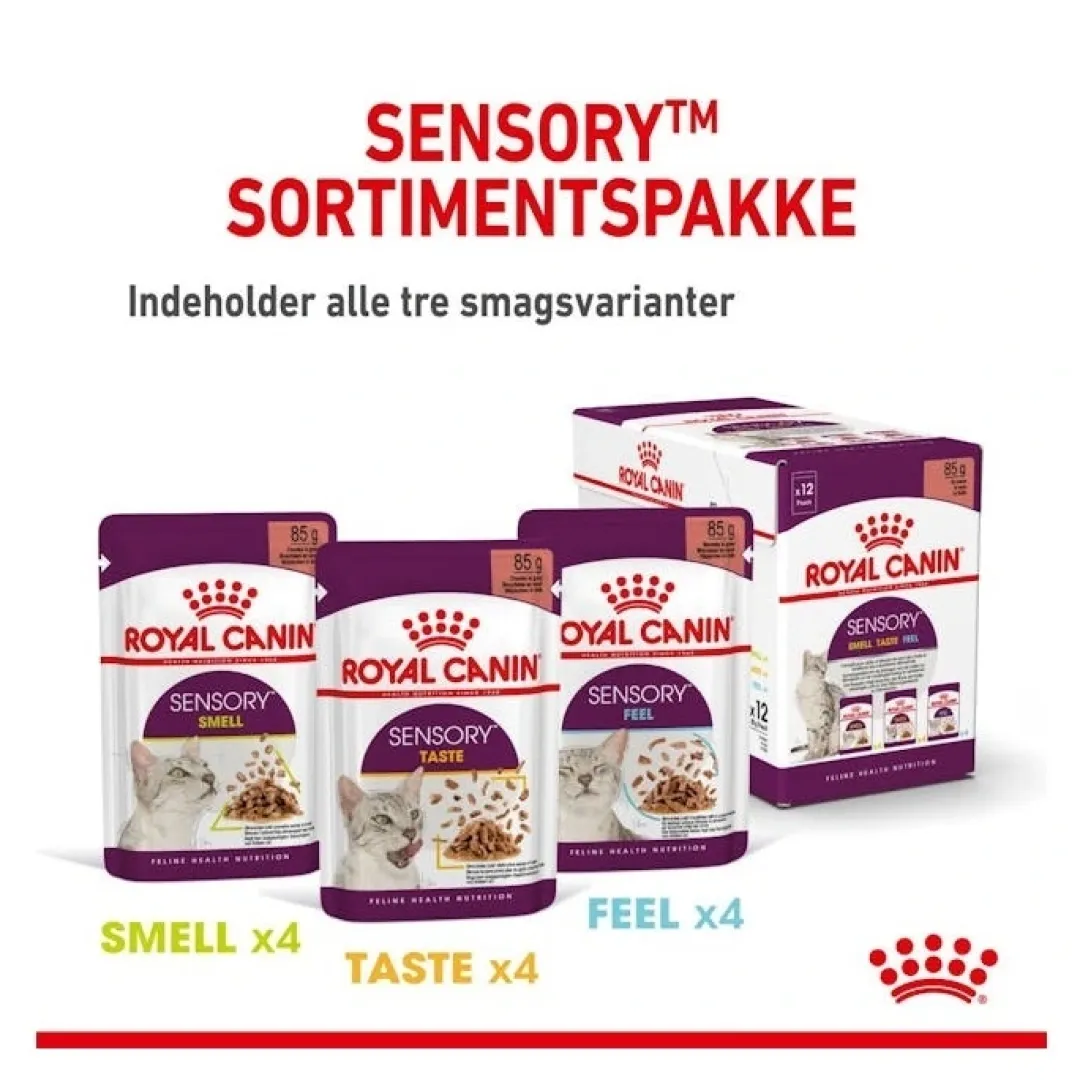 Royal Canin Kattefoder Royal Canin Kattevådmad Sensory Taste Sovs Adult
