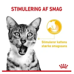 Royal Canin Kattefoder Royal Canin Kattevådmad Sensory Taste Sovs Adult