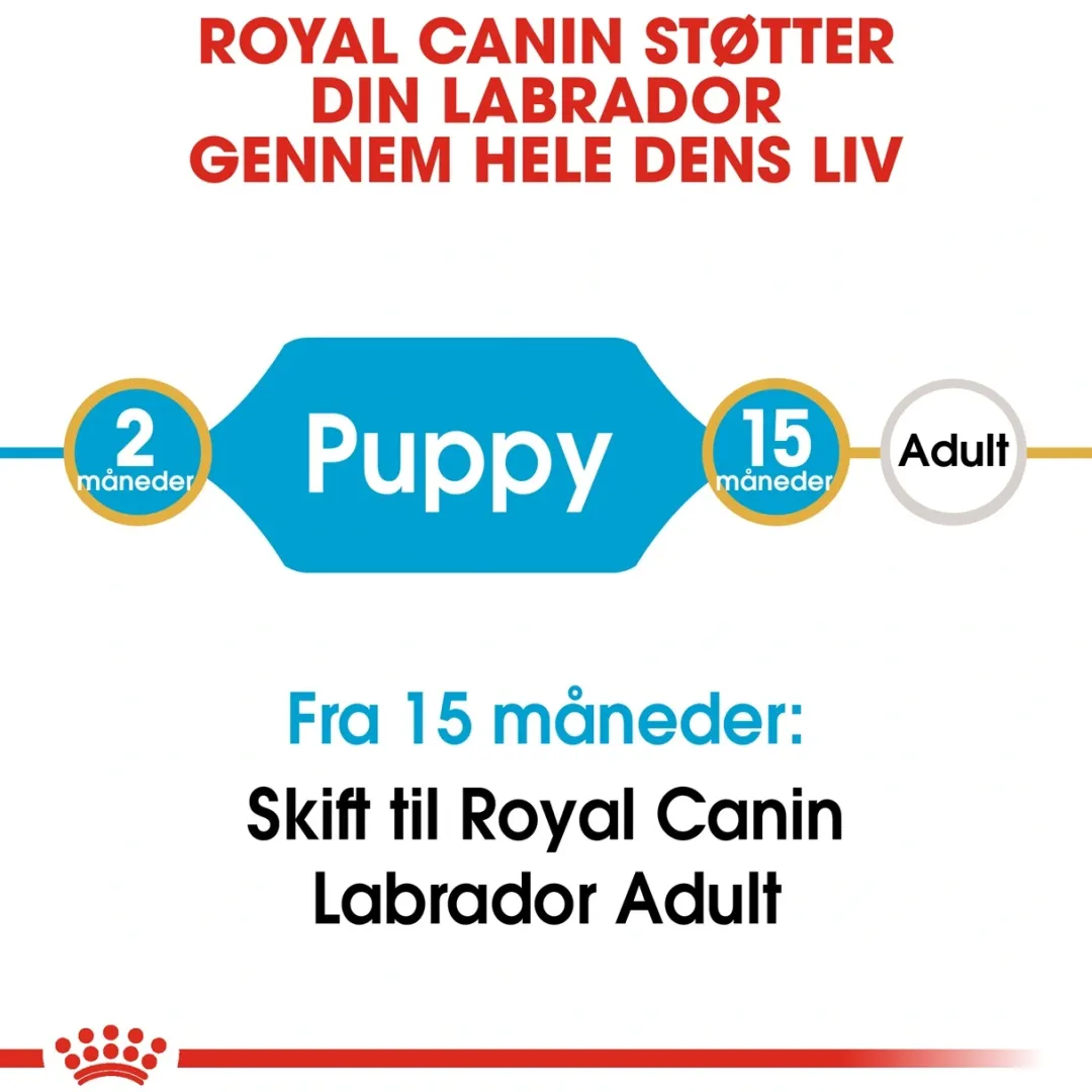 Royal Canin Hundefoder Royal Canin Labrador Retriever Puppy 12 kg - tørfoder til hvalpe