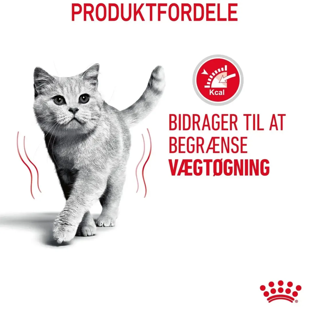 Royal Canin Kattefoder Royal Canin Light Weight Care 8 kg