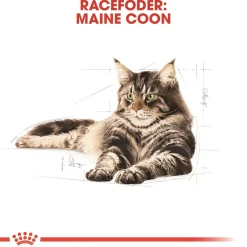 Royal Canin Kattefoder Royal Canin Maine Coon 400 gram