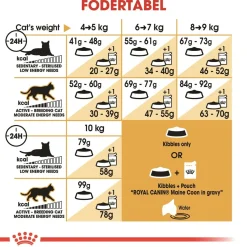 Royal Canin Kattefoder Royal Canin Maine Coon 4 kg