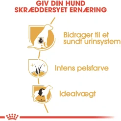 Royal Canin Hundefoder Royal Canin Miniature Schnauzer Adult 3 kg - tørfoder til små hunde